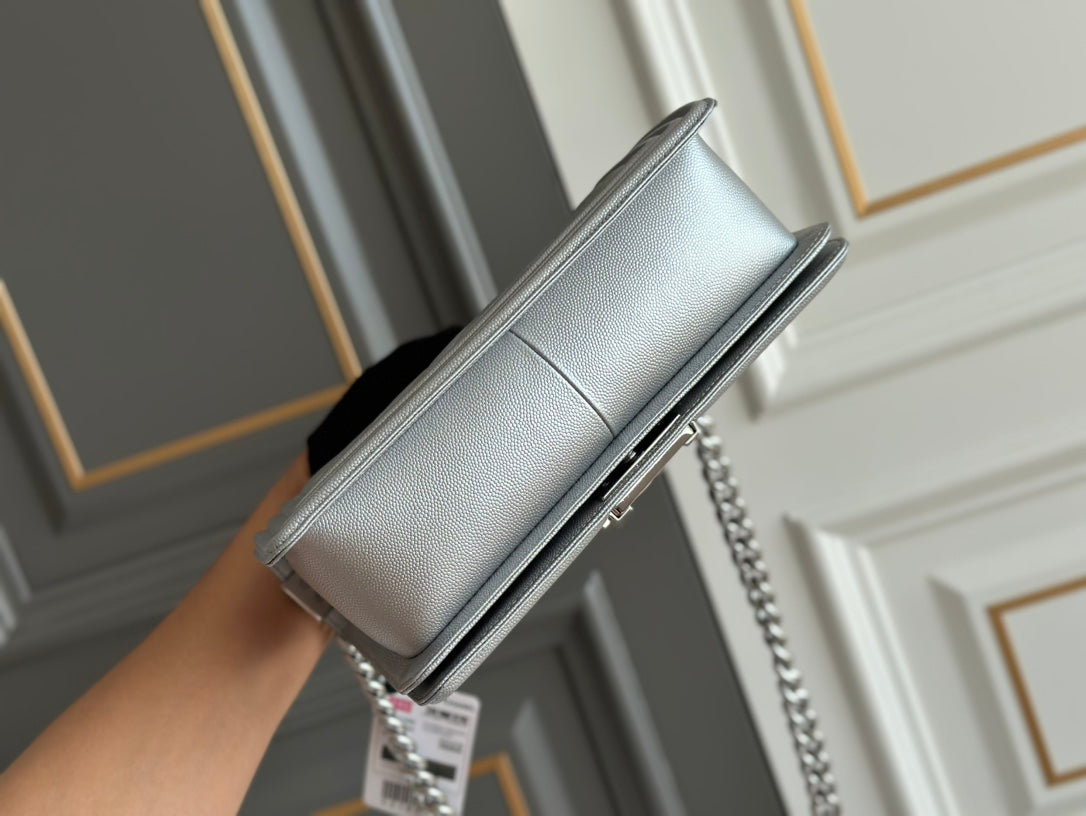 Louis Vuitton Boy grey bag – front view